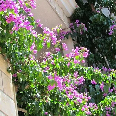 Apartment Apartments Ratac Makarska